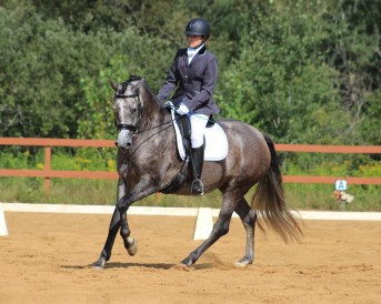 ali haute défénition (2)