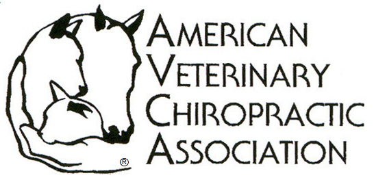 AVCA-Logo-500